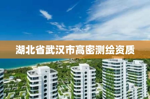 湖北省武汉市高密测绘资质 湖北省武汉市高密测绘资质