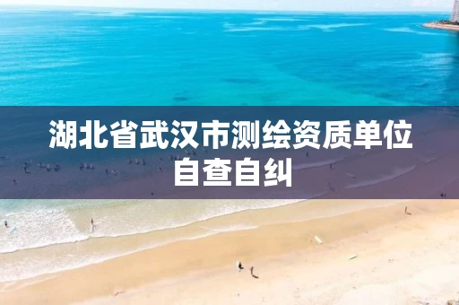 湖北省武汉市测绘资质单位自查自纠