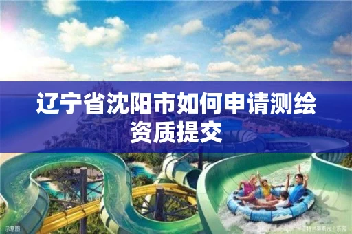 辽宁省沈阳市如何申请测绘资质提交