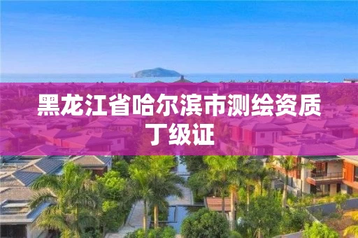黑龙江省哈尔滨市测绘资质丁级证