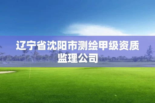 辽宁省沈阳市测绘甲级资质监理公司