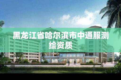 黑龙江省哈尔滨市中通服测绘资质