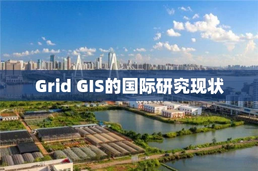 Grid GIS的国际研究现状