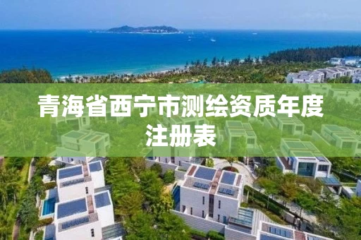 青海省西宁市测绘资质年度注册表
