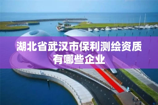 湖北省武汉市保利测绘资质有哪些企业