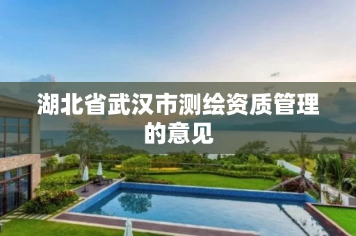 湖北省武汉市测绘资质管理的意见