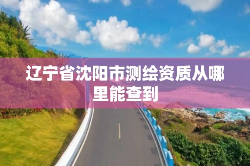 辽宁省沈阳市测绘资质从哪里能查到