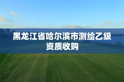 黑龙江省哈尔滨市测绘乙级资质收购