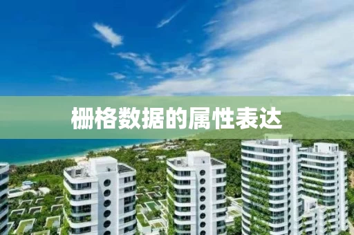 栅格数据的属性表达