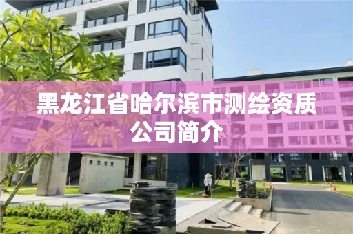黑龙江省哈尔滨市测绘资质公司简介