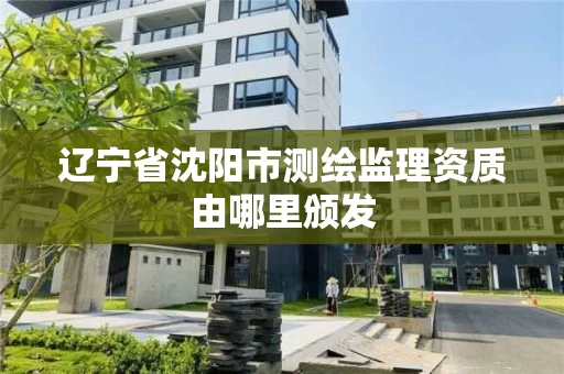 辽宁省沈阳市测绘监理资质由哪里颁发