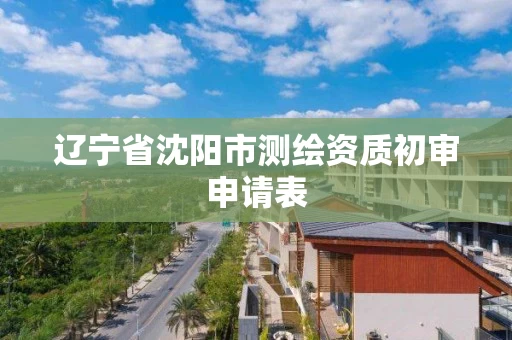 辽宁省沈阳市测绘资质初审申请表