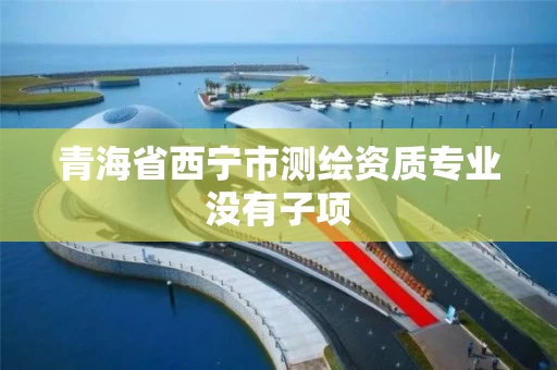 青海省西宁市测绘资质专业没有子项