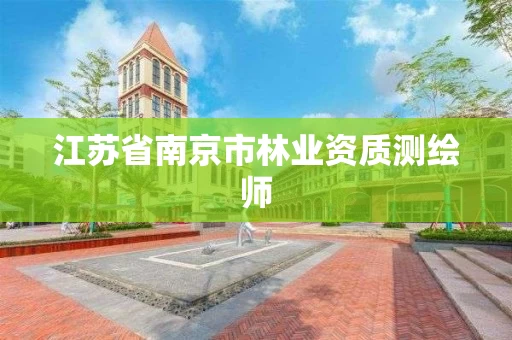 江苏省南京市测绘师