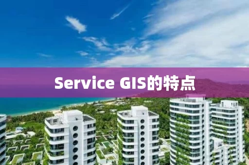 Service GIS的特点