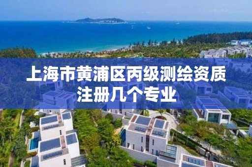 上海市黄浦区丙级测绘资质注册几个专业