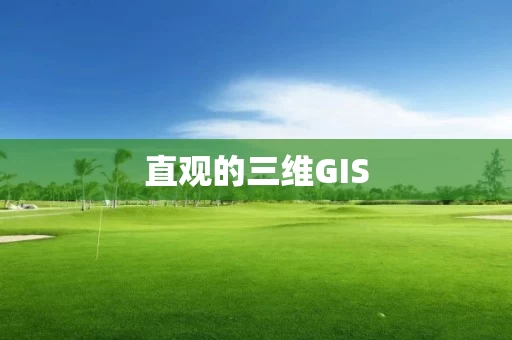 直观的三维GIS