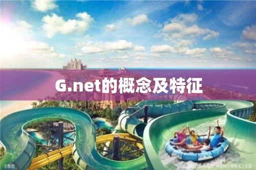 G.net的概念及特征