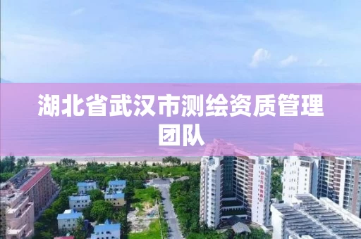 湖北省武汉市测绘资质管理团队