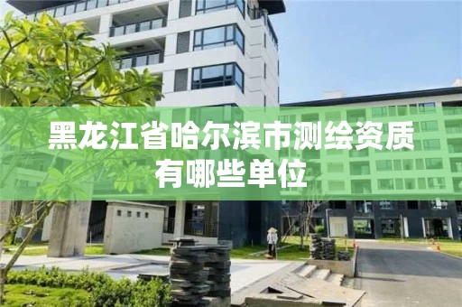 黑龙江省哈尔滨市测绘资质有哪些单位