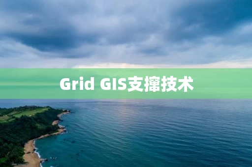 Grid GIS支撺技术