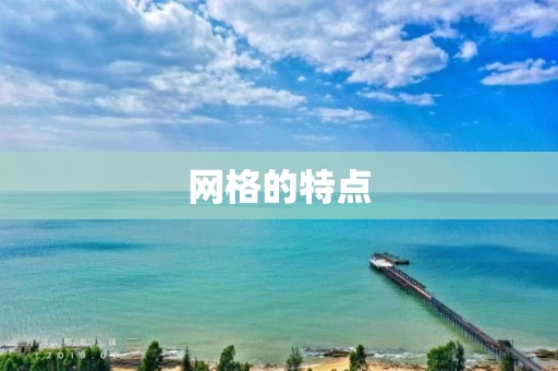 网格的特点