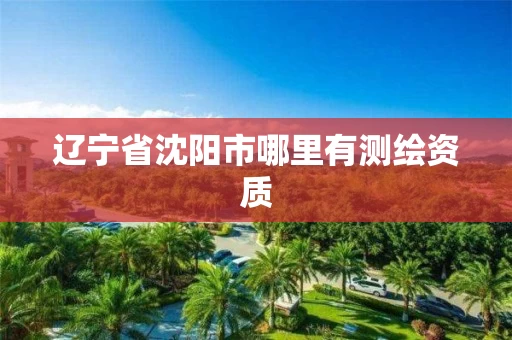 辽宁省沈阳市哪里有测绘资质 辽宁省沈阳市哪里有测绘资质