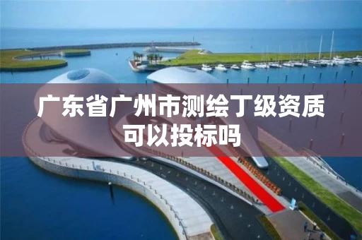 广东省广州市测绘丁级资质可以投标吗 广东省广州市测绘丁级资质可以投标吗