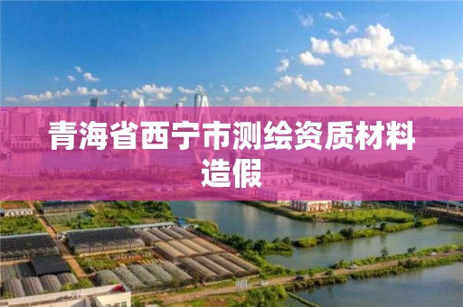 青海省西宁市测绘资质材料造假