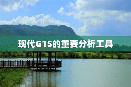 现代G1S的重要分析工具