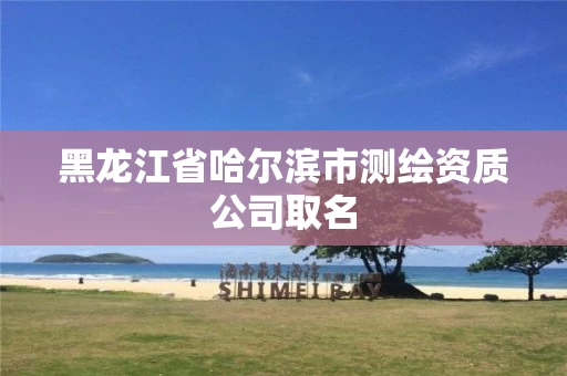 黑龙江省哈尔滨市测绘资质公司取名