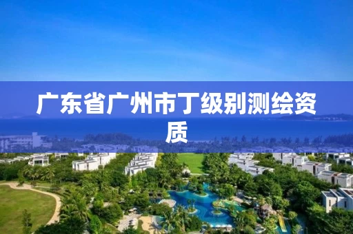 广东省广州市丁级别测绘资质 广东省广州市丁级别测绘资质