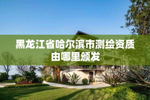 黑龙江省哈尔滨市测绘资质由哪里颁发