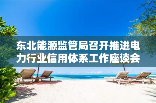 东北能源监管局召开推进电力行业信用体系工作座谈会