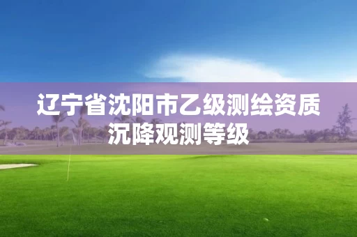 辽宁省沈阳市乙级测绘资质沉降观测等级