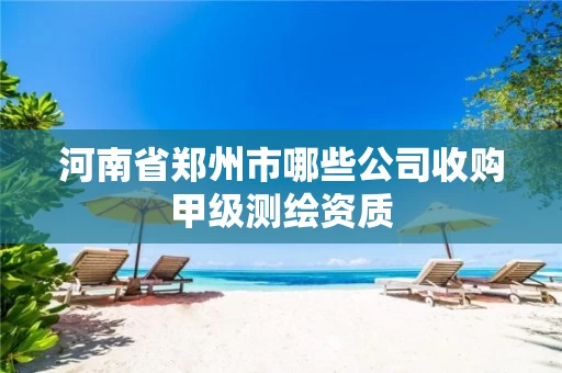 河南省郑州市哪些公司收购甲级测绘资质