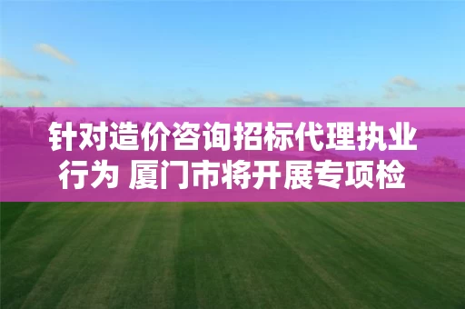 针对造价咨询招标代理执业行为 厦门市将开展专项检查