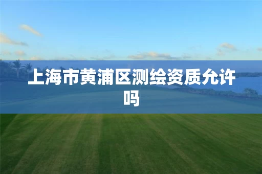 上海市黄浦区测绘资质允许吗