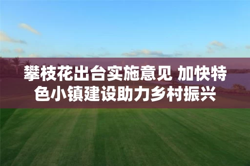 攀枝花出台实施意见 加快特色小镇建设助力乡村振兴