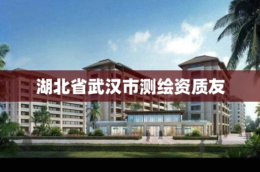 湖北省武汉市测绘资质友