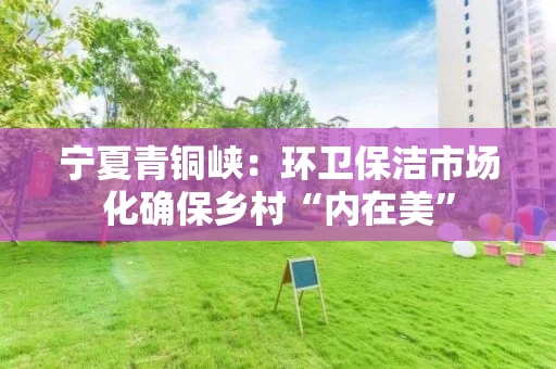 宁夏青铜峡：环卫保洁市场化确保乡村“内在美”