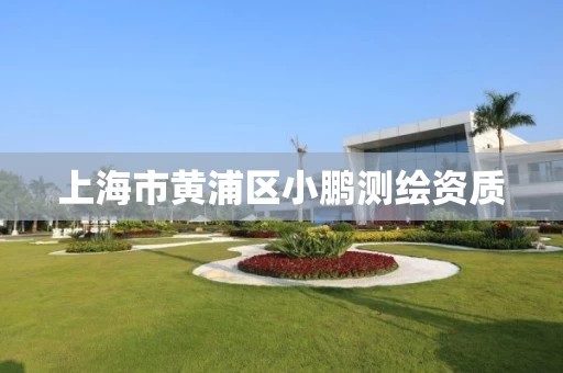 上海市黄浦区小鹏测绘资质
