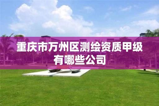 重庆市万州区测绘资质甲级有哪些公司