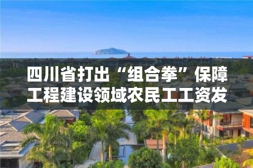 四川省打出“组合拳”保障工程建设领域农民工工资发放