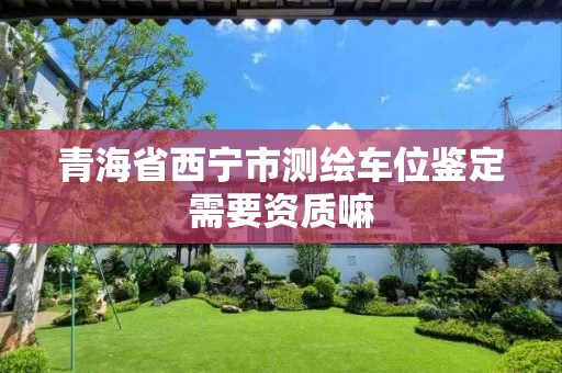 青海省西宁市测绘车位鉴定需要资质嘛