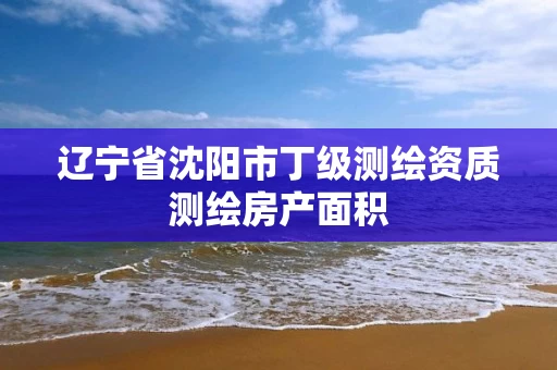 辽宁省沈阳市丁级测绘资质测绘房产面积