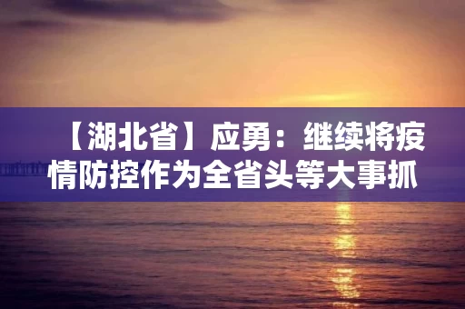 【湖北省】应勇：继续将疫情防控作为全省头等大事抓紧抓实抓细