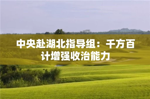 中央赴湖北指导组：千方百计增强收治能力