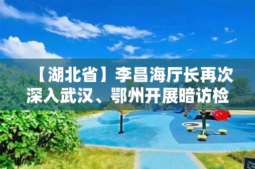 【湖北省】李昌海厅长再次深入武汉、鄂州开展暗访检查社区（小区）封闭管理工作