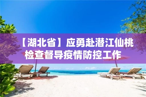 【湖北省】应勇赴潜江仙桃检查督导疫情防控工作